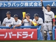 盛り上がるベンチの様子