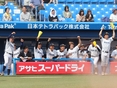 盛り上がるベンチの様子