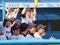 盛り上がるベンチの様子