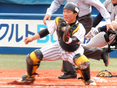 平本龍太郎（2年）